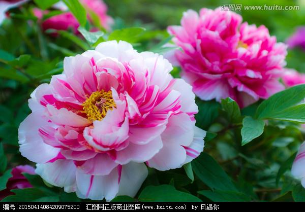 回想张学良将军_3000字