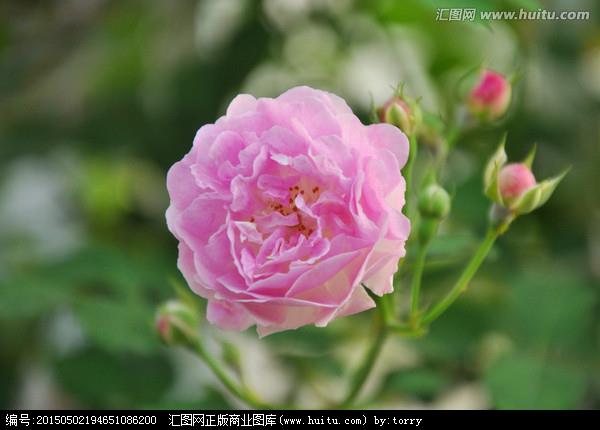 我的讲演阅历_600字