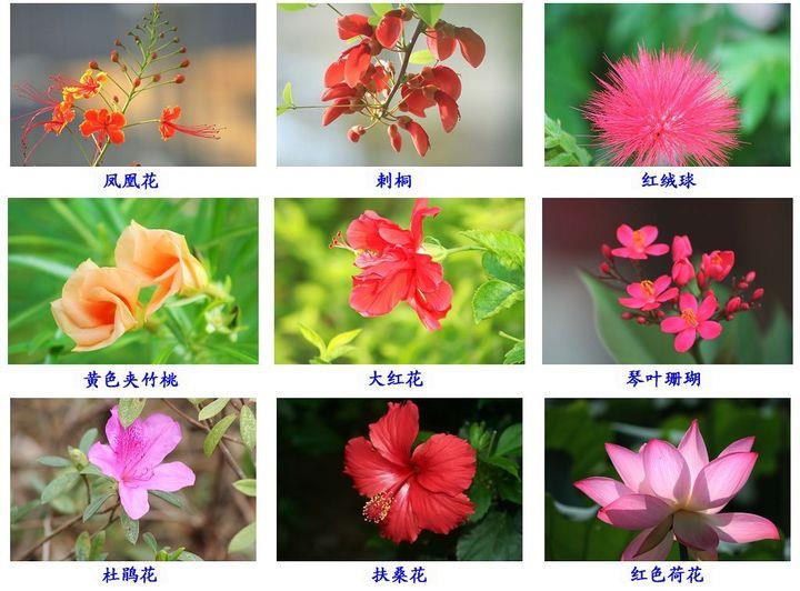 回忆的苍茫_800字