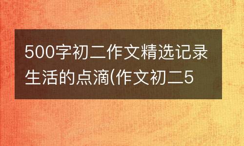 500字初二作文精选记录生活的点滴(作文初二500字以上)