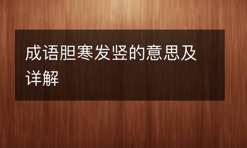 成语胆寒发竖的意思及详解