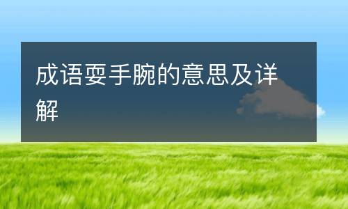 成语耍手腕的意思及详解