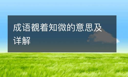 成语覩着知微的意思及详解
