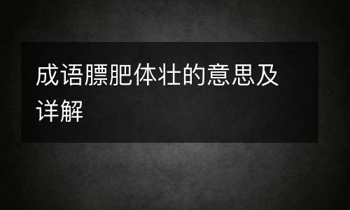 成语膘肥体壮的意思及详解
