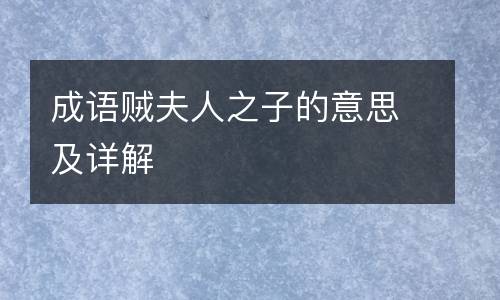 成语贼夫人之子的意思及详解
