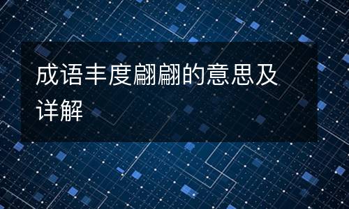 成语丰度翩翩的意思及详解