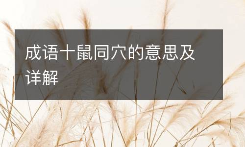 成语十鼠同穴的意思及详解