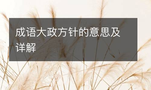 成语大政方针的意思及详解