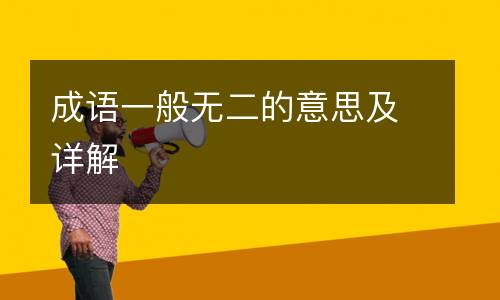 成语一般无二的意思及详解