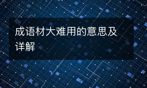 成语材大难用的意思及详解