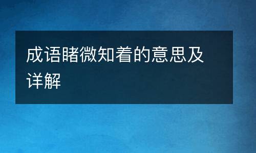 成语睹微知着的意思及详解