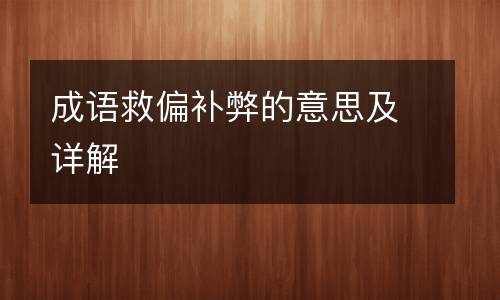 成语救偏补弊的意思及详解