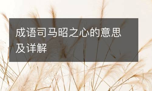 成语司马昭之心的意思及详解