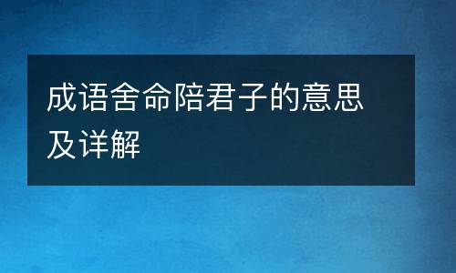 成语舍命陪君子的意思及详解