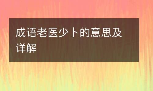 成语老医少卜的意思及详解