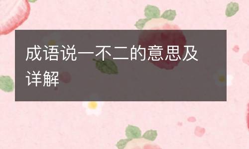 成语说一不二的意思及详解