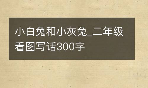 小白兔和小灰兔_二年级看图写话300字