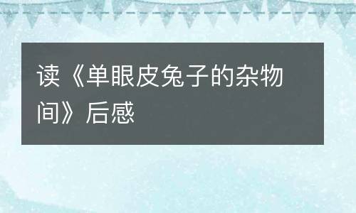 读《单眼皮兔子的杂物间》后感