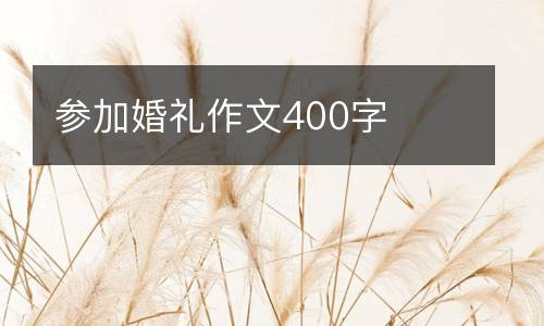 参加婚礼作文400字