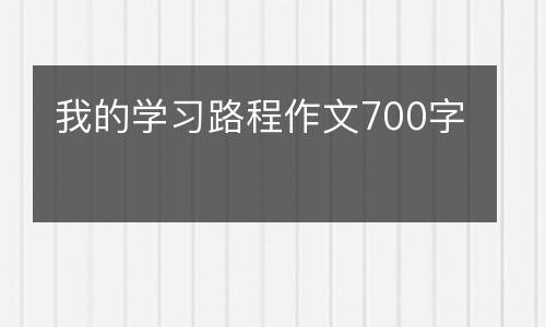 我的学习路程作文700字