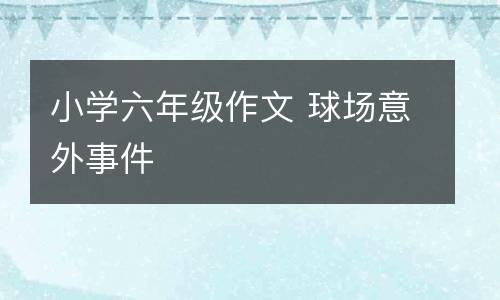 小学六年级作文 球场意外事件