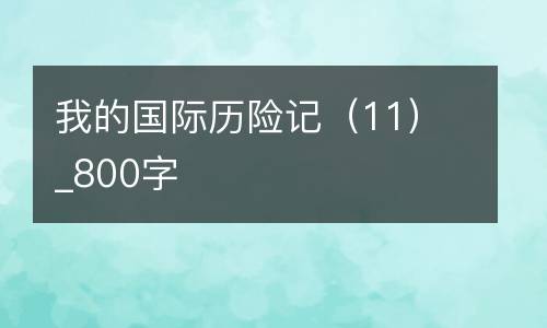 我的国际历险记（11）_800字