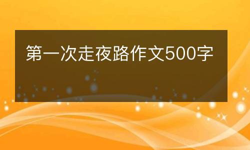 第一次走夜路作文500字