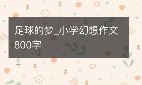足球的梦_小学幻想作文800字