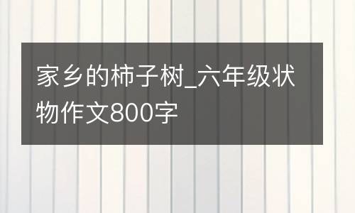 家乡的柿子树_六年级状物作文800字