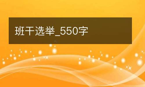 班干选举_550字