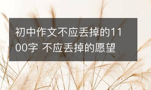 初中作文不应丢掉的1100字 不应丢掉的愿望
