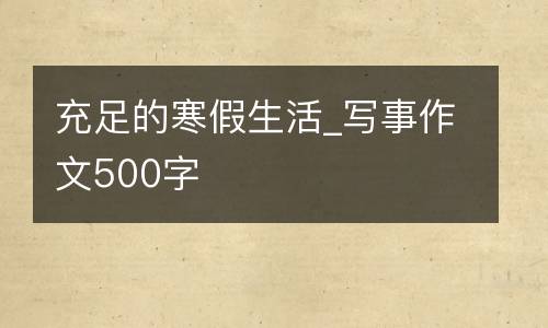 充足的寒假生活_写事作文500字