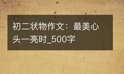 初二状物作文：最美心头一亮时_500字