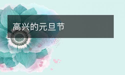 高兴的元旦节