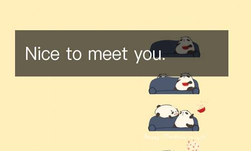 Nice to meet you.