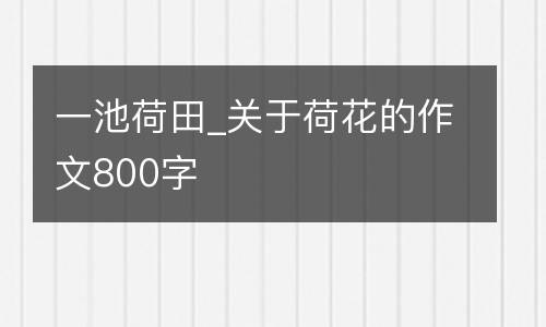 一池荷田_关于荷花的作文800字