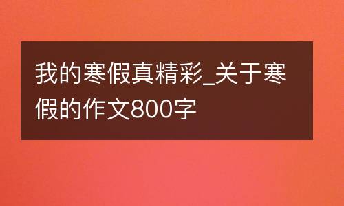 我的寒假真精彩_关于寒假的作文800字