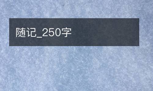 随记_250字