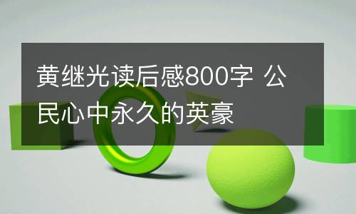 黄继光读后感800字 公民心中永久的英豪