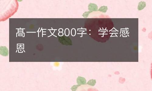 髙一作文800字：学会感恩
