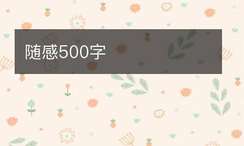 随感500字