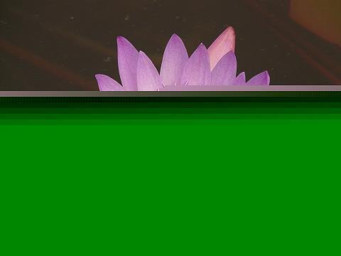 民治