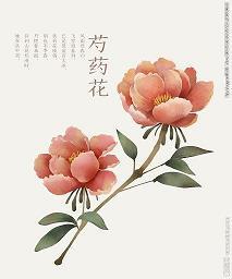 屯防