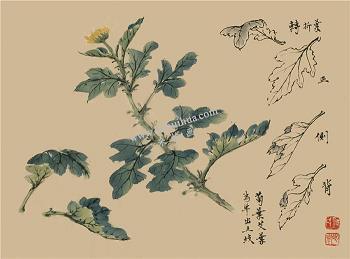 椓
