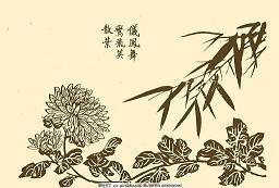 咡