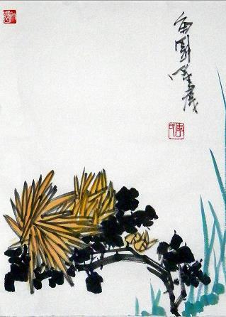 排缵