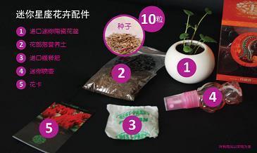 文深