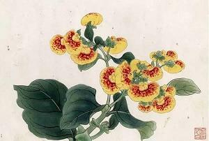 澄浃
