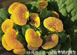 事极