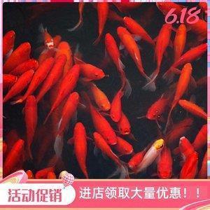 东郭